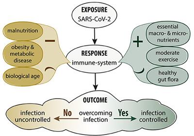 Frontiers | Nutritional Impact And Its Potential Consequences On COVID ...